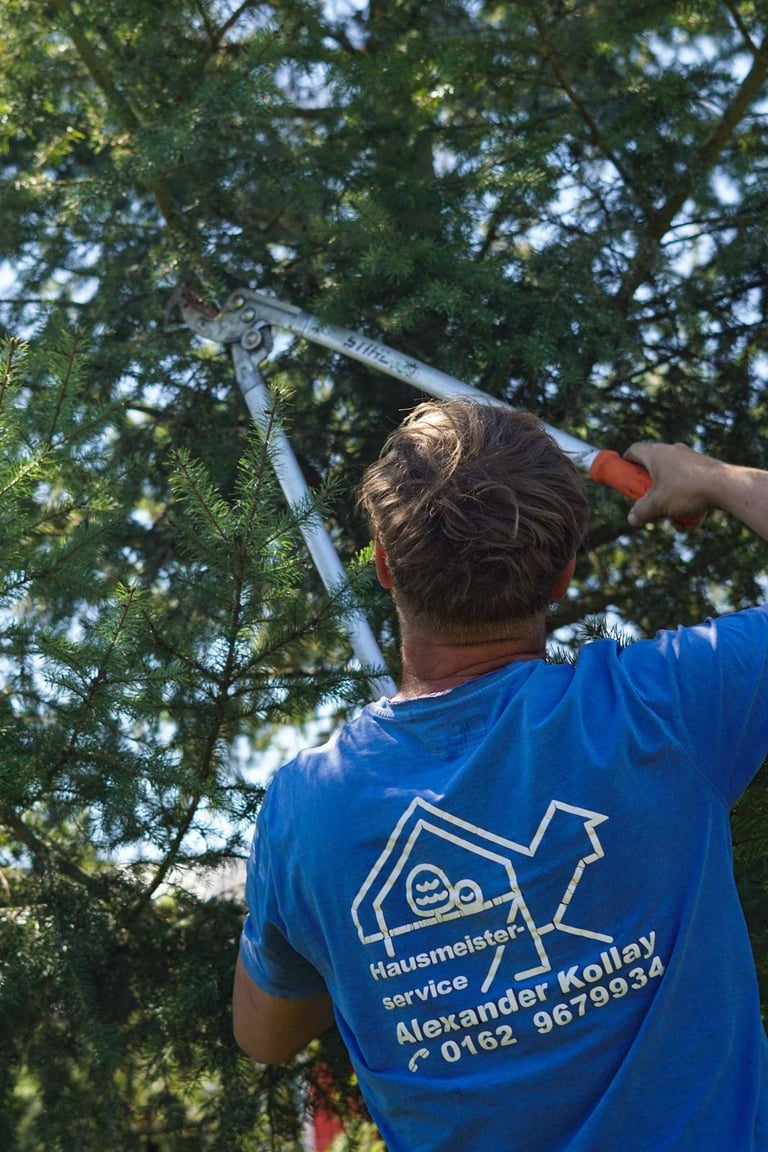 Worker in blue shirt using pruning tool to trim branches from tree canopy above
